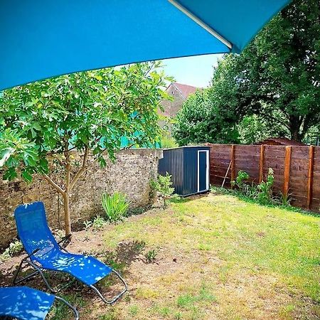 Tres Bel Appartement Avec Jardin Et Jacuzzi Scey-sur-Saône-et-Saint-Albin エクステリア 写真