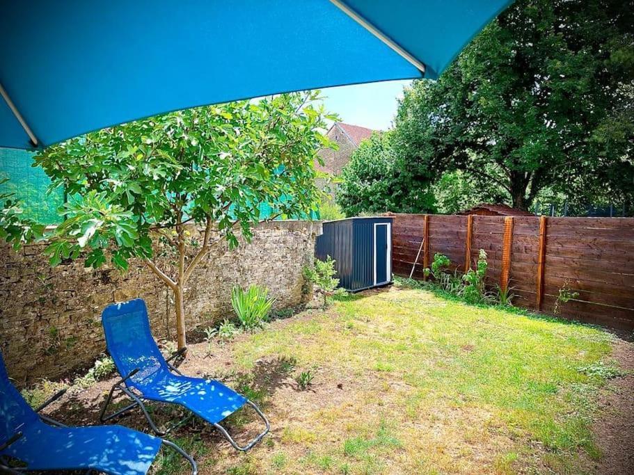 Tres Bel Appartement Avec Jardin Et Jacuzzi Scey-sur-Saône-et-Saint-Albin エクステリア 写真