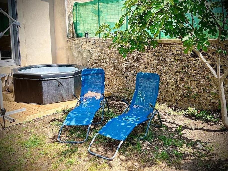 Tres Bel Appartement Avec Jardin Et Jacuzzi Scey-sur-Saône-et-Saint-Albin エクステリア 写真